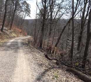 Geologischer Lehrpfad Kirnbachtal