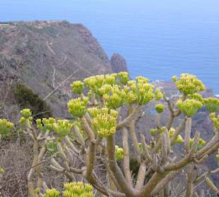 Blick in den Barranco, links der Wanderweg