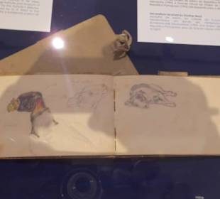 Sein altes Skitzenbuch.