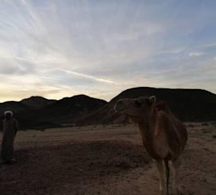 Unvergesslicher moment 