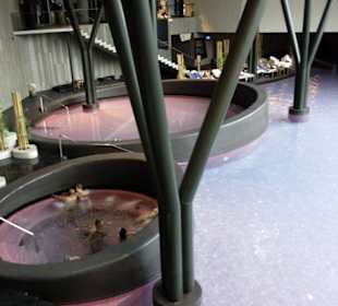 Wellnesszentrum Orhidelia