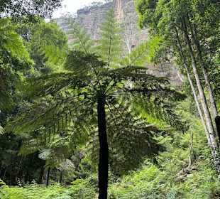Katoomba Scenic World