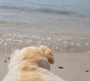 Strand Puerto de Pollensa