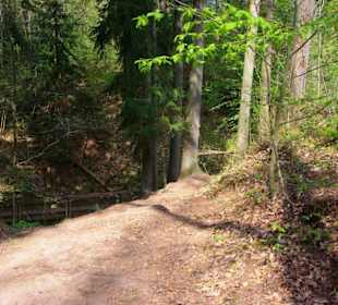 Beginn vom Bitterbach