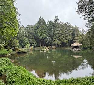 Alishan National Forest