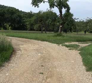 Premiumspazierweg Früchtetrauf-Leisawegle