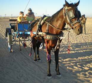 Pferdekutschfahrt