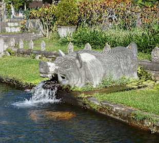 Wildschwein-Wasserspeier