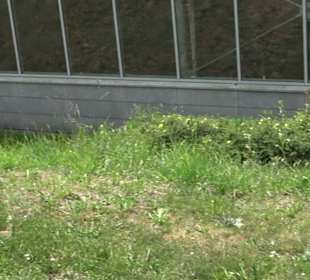 Eugen-Hornberger-Halle