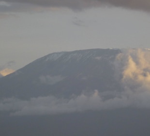 Kili - Amboseli
