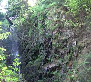 Griesbacher Wasserfälle Bad Griesbach
