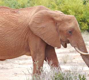 Mir schmeckt es lecker!