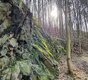 Wandern Bad Harzburg