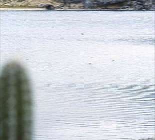 Der Washington-Park mit dem Gotomeer