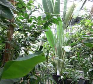 Tropicarium