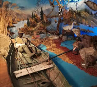 Alpen Wildpark Feld am See