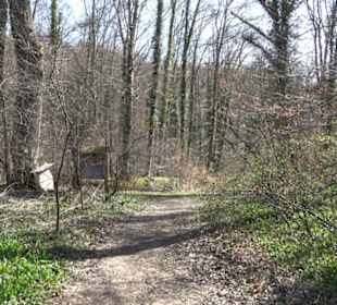 Geschichtlicher Lehrpfad Einsiedel