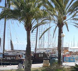 Hafen von Palma