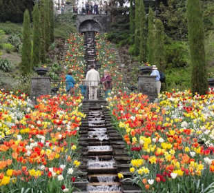 Insel Mainau im Mai