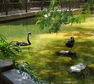 Palmitos Park