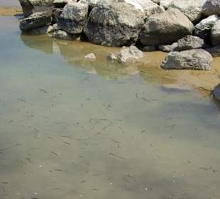 Strand von Bibione 06-2010