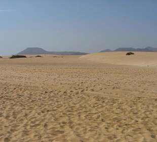 Sand dunes spiaggia