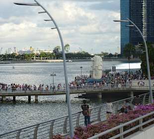 Unterwegs in Singapur mit dem Hop and Hop Bus