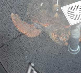 Verschiedene Wasserbecken