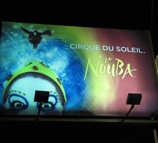 Cirque du Soleil "La Nouba"