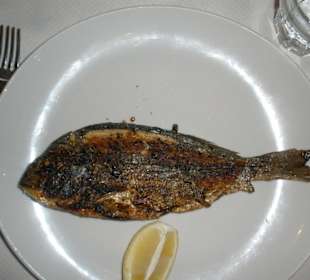 Dorade
