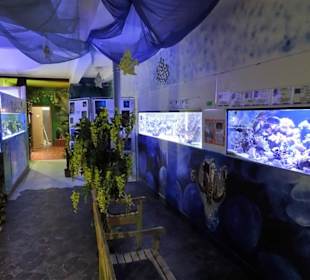 Blick in die Ausstellungsräume des Nautiland