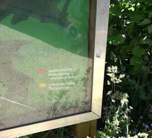 Premiumwanderweg "hochgelegen"