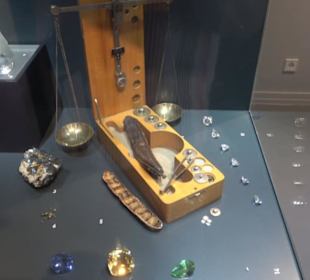 Museum für Naturkunde