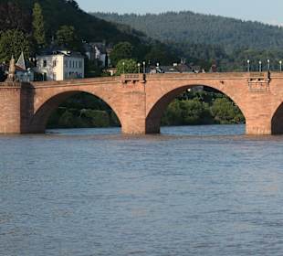 Blick zur Altem Brücke von Heidelberg