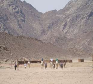 Quad Tour - Beduinendorf