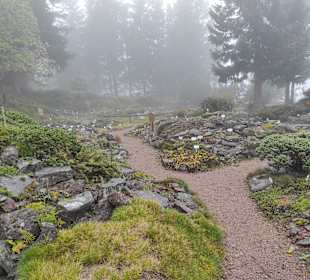 Park Rennsteiggarten