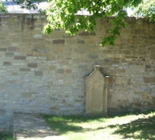 Unterwegs im Park "Alter Friedhof" in Schweinfurt