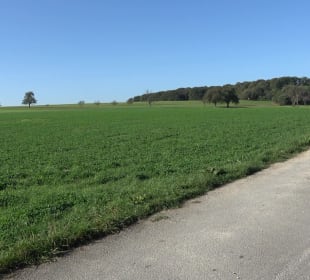 Kelten-Erlebnis-Pfad Erkenbrechtsweiler