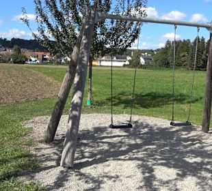 Schaukelweg an der Donau