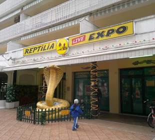 Bibione im Bild 06-2011