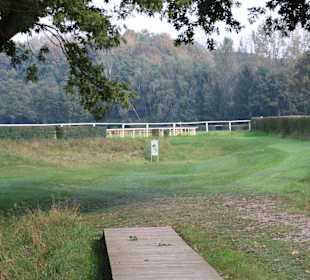 Ende der Kröten-Avenue