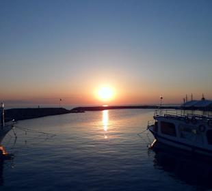 Ein eindrucksvoller Moment der Stille