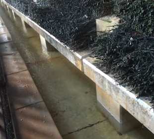 Königlicher Kurgarten