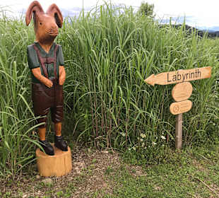 Wandern Kitzelberg St. Kanzian