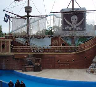 Kulisse der Sea Lion and Otter show