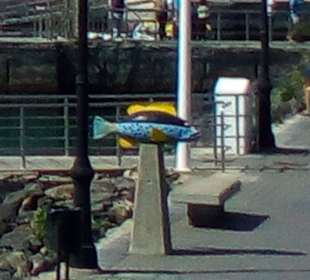 Fischskulpturen Hafen Corralejo