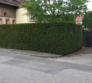 Wallfahrtsort Heiligenbronn 