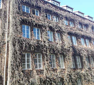 Stare Miasto Gdańsk