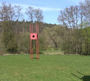 Sculptoura Woodwatcher