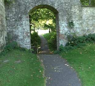Burgruine Bussen Offingen